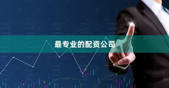 最专业的配资公司