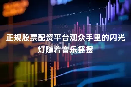 正规股票配资平台观众手里的闪光灯随着音乐摇摆