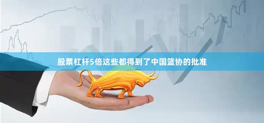 股票杠杆5倍这些都得到了中国篮协的批准