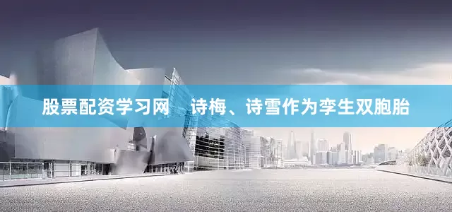 股票配资学习网    诗梅、诗雪作为孪生双胞胎