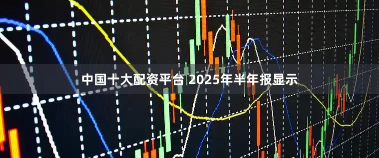 中国十大配资平台 2025年半年报显示