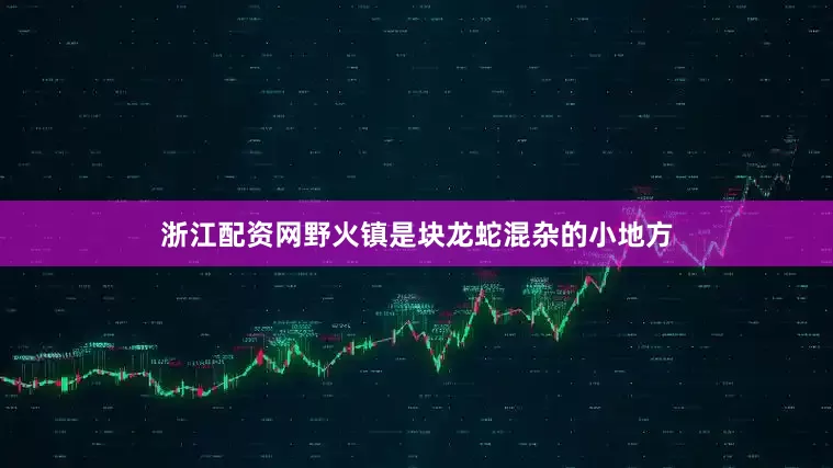浙江配资网野火镇是块龙蛇混杂的小地方