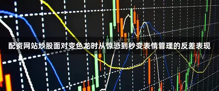配资网站炒股面对变色龙时从惊恐到秒变表情管理的反差表现